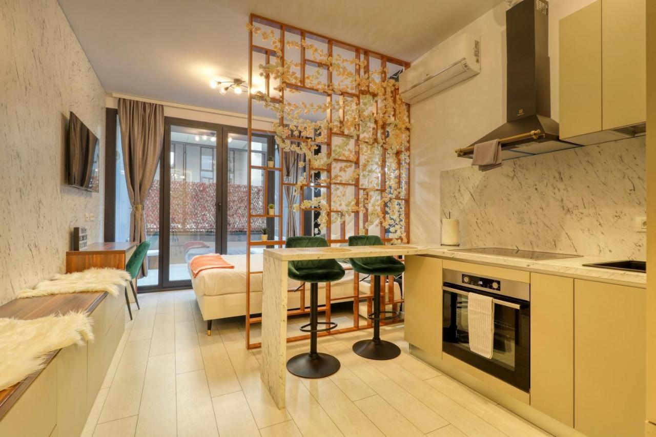 Herastrau Luxury Studios 부쿠레슈티 외부 사진